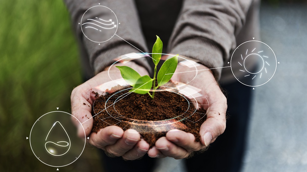 Sustentabilidade na Agricultura: O Papel do Curso de Agronomia